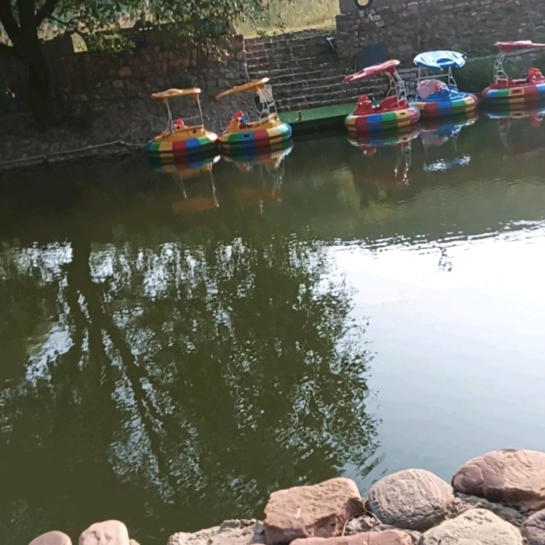 钓鱼要到岛上钓