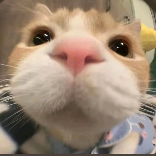 拾淮
