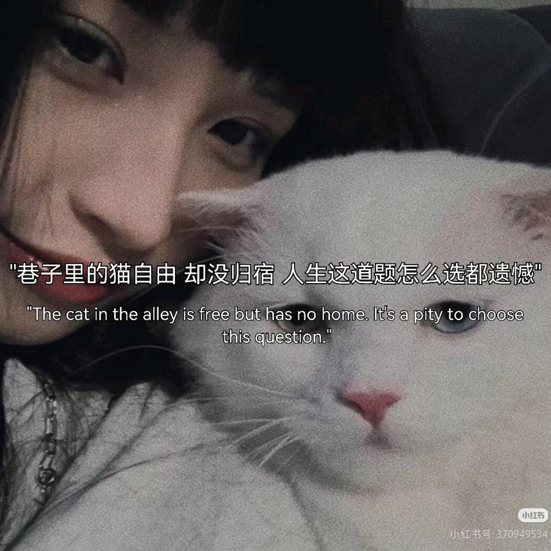 李天天吖。