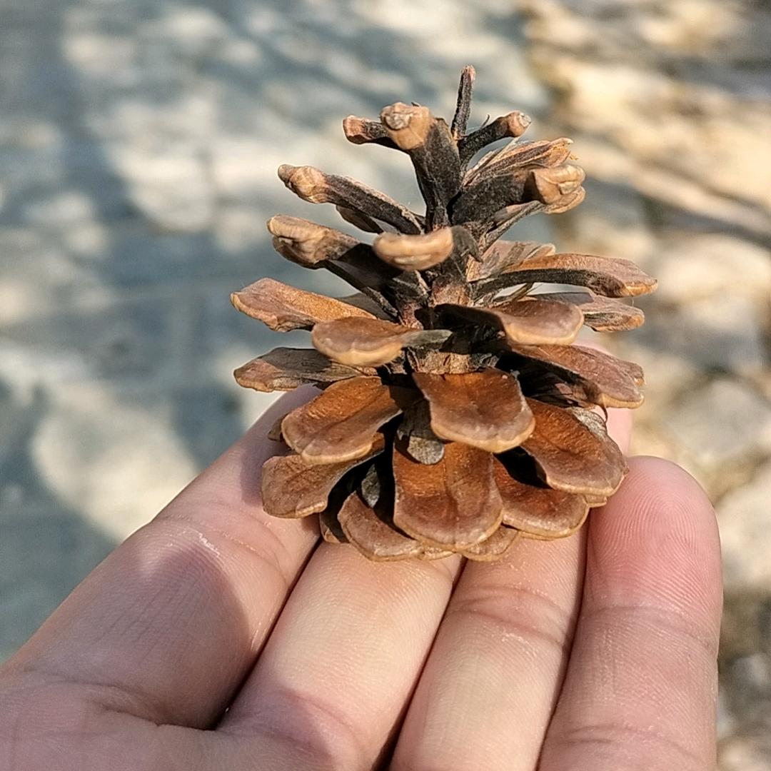 人生何处不相逢