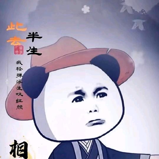 虾仁漫暖光