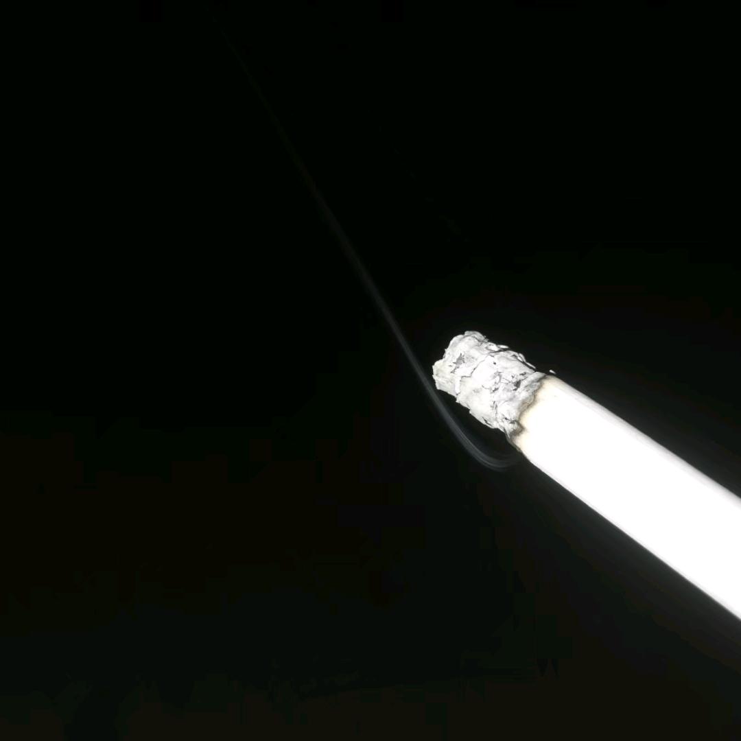 是进哥啊