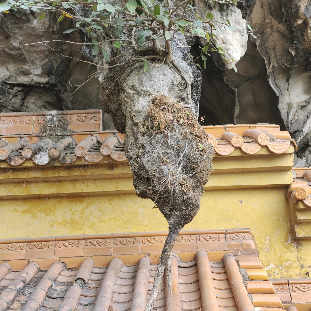 阿里1688开店，周先生