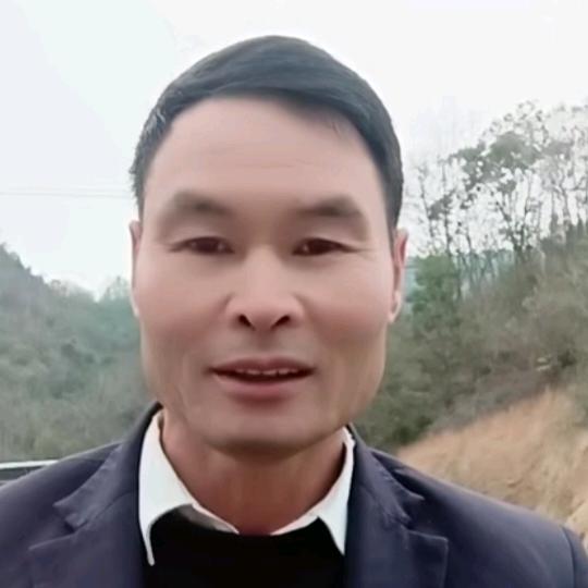 布依