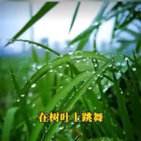 渊渊