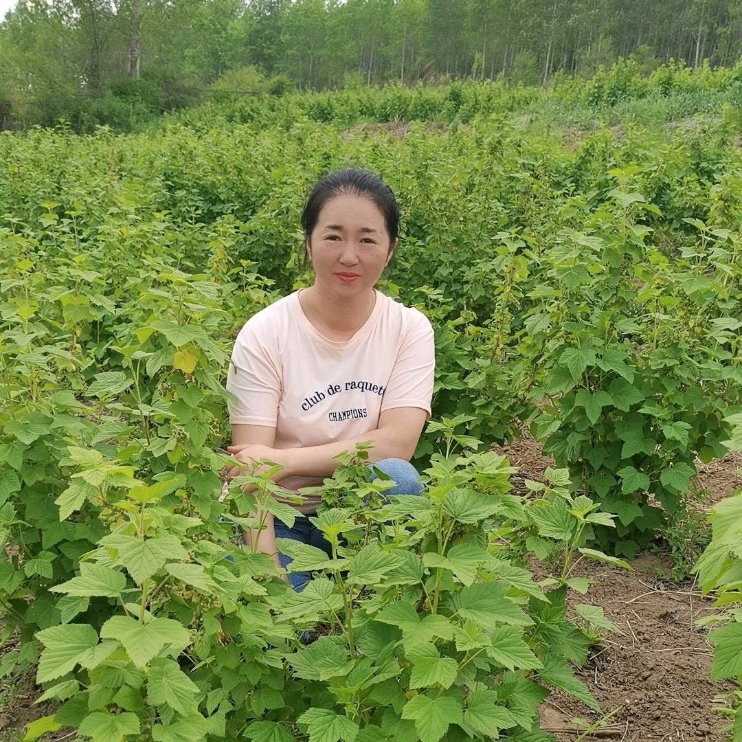 企航印章财税(西乡分店)皓语推广号