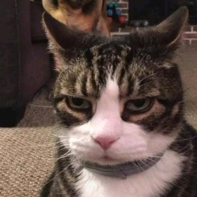 ͏ ͏͏   Cx330 ͏͏ ͏͏