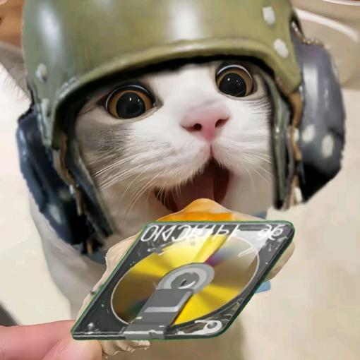 小叶    武当爷  ［暗区突围 pc］