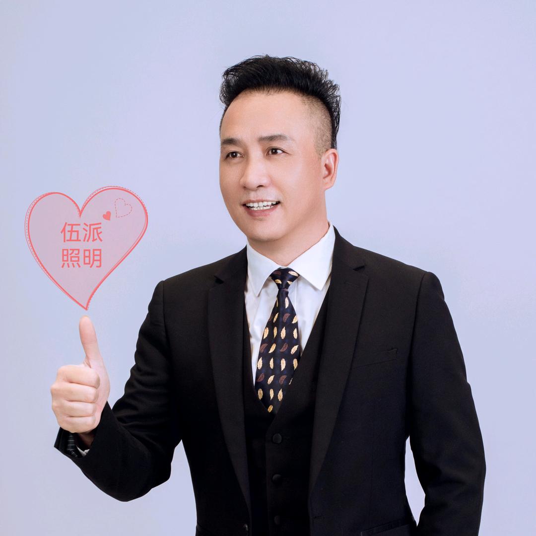 伍派户外照明