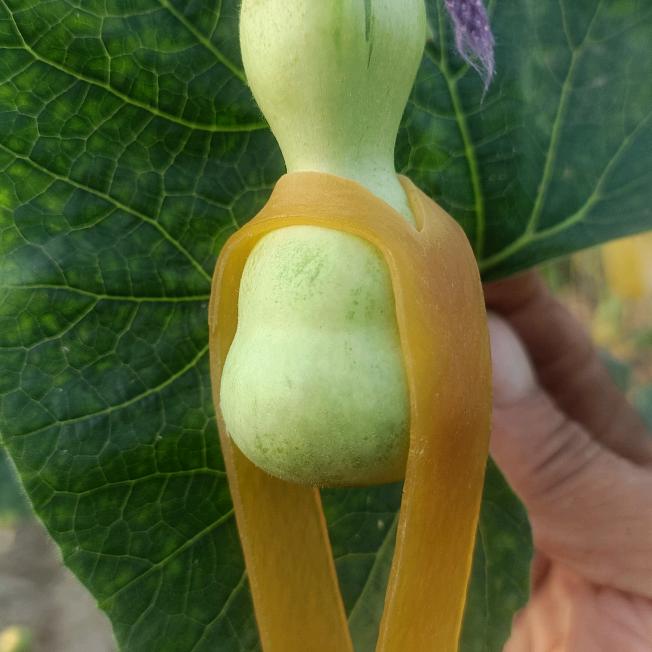 福禄贵葫芦工艺品店