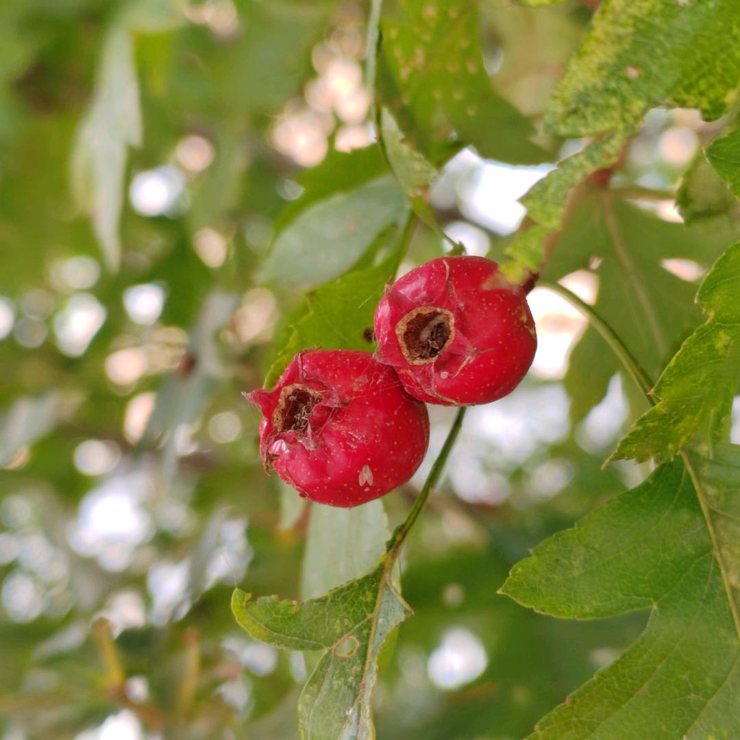 用户3891259108360萍萍