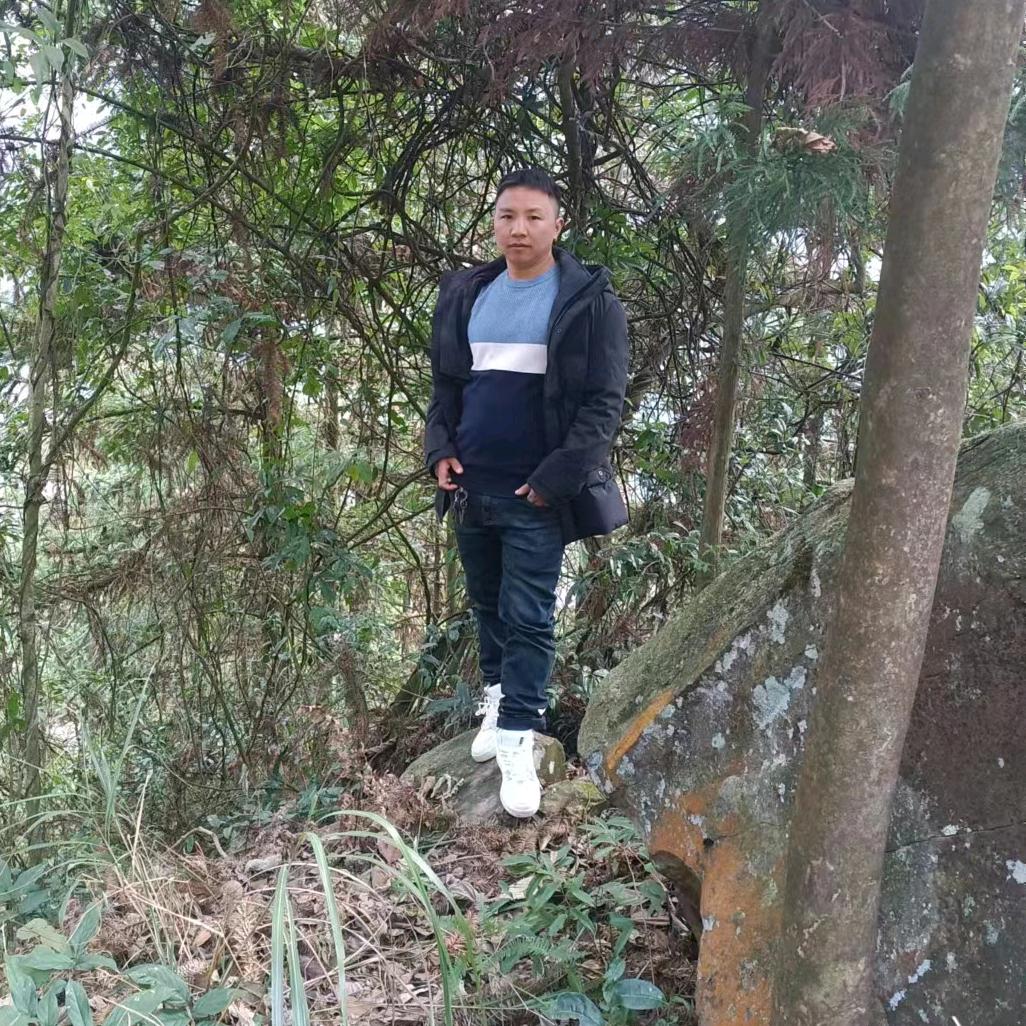 梦缘
