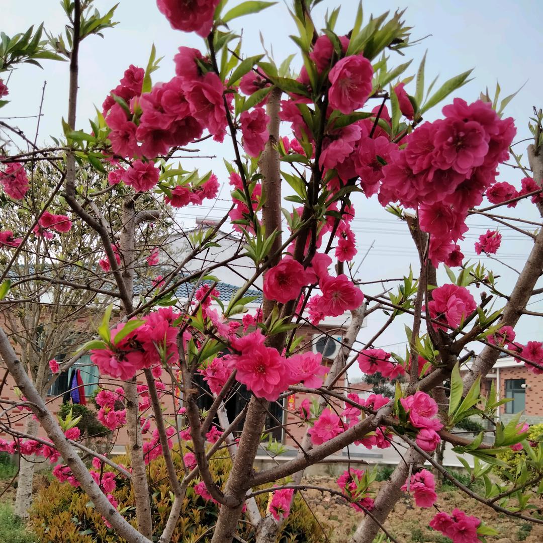 善待自己🎋🌷