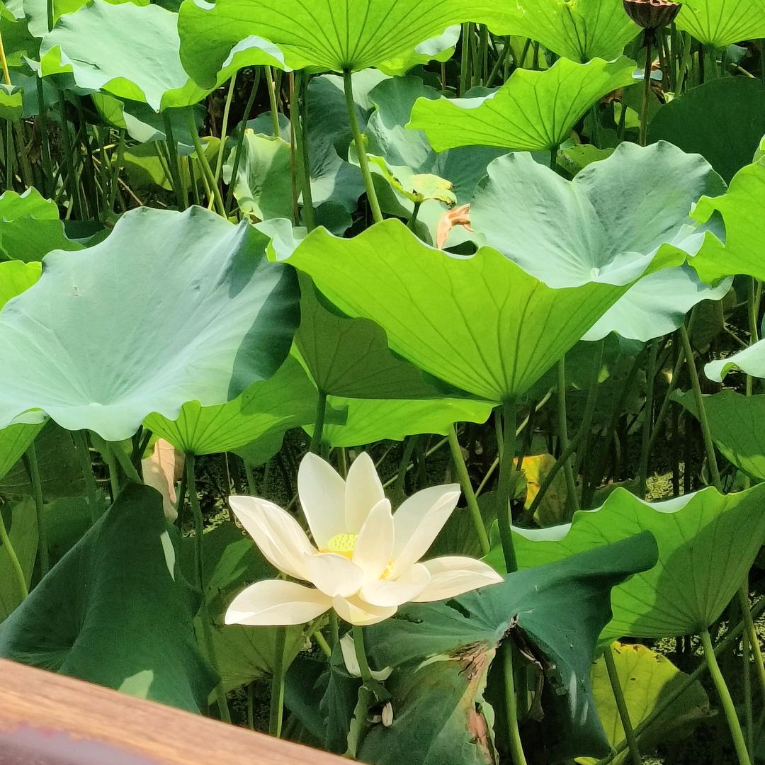 走进大秦岭