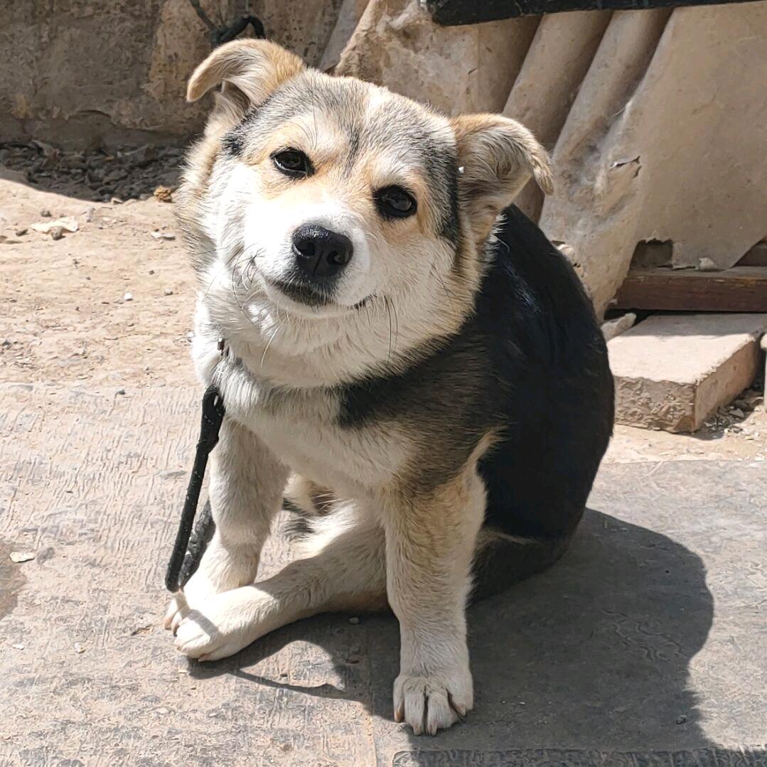 无名小小生