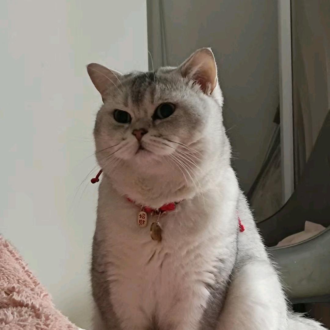 白雪