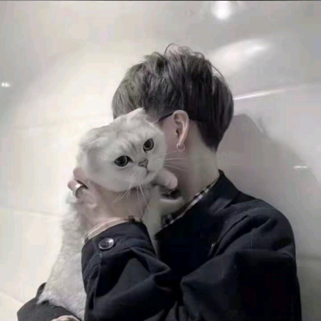 断弦