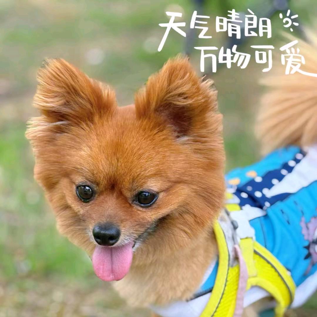 sunny成长记