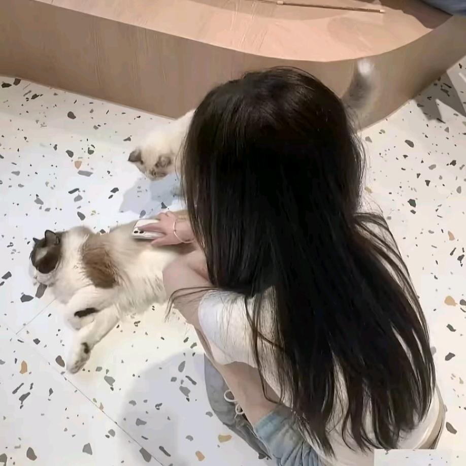 🐾