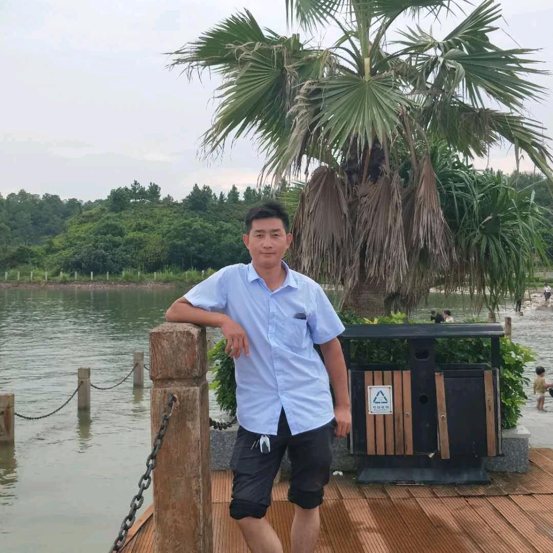风中的遗憾