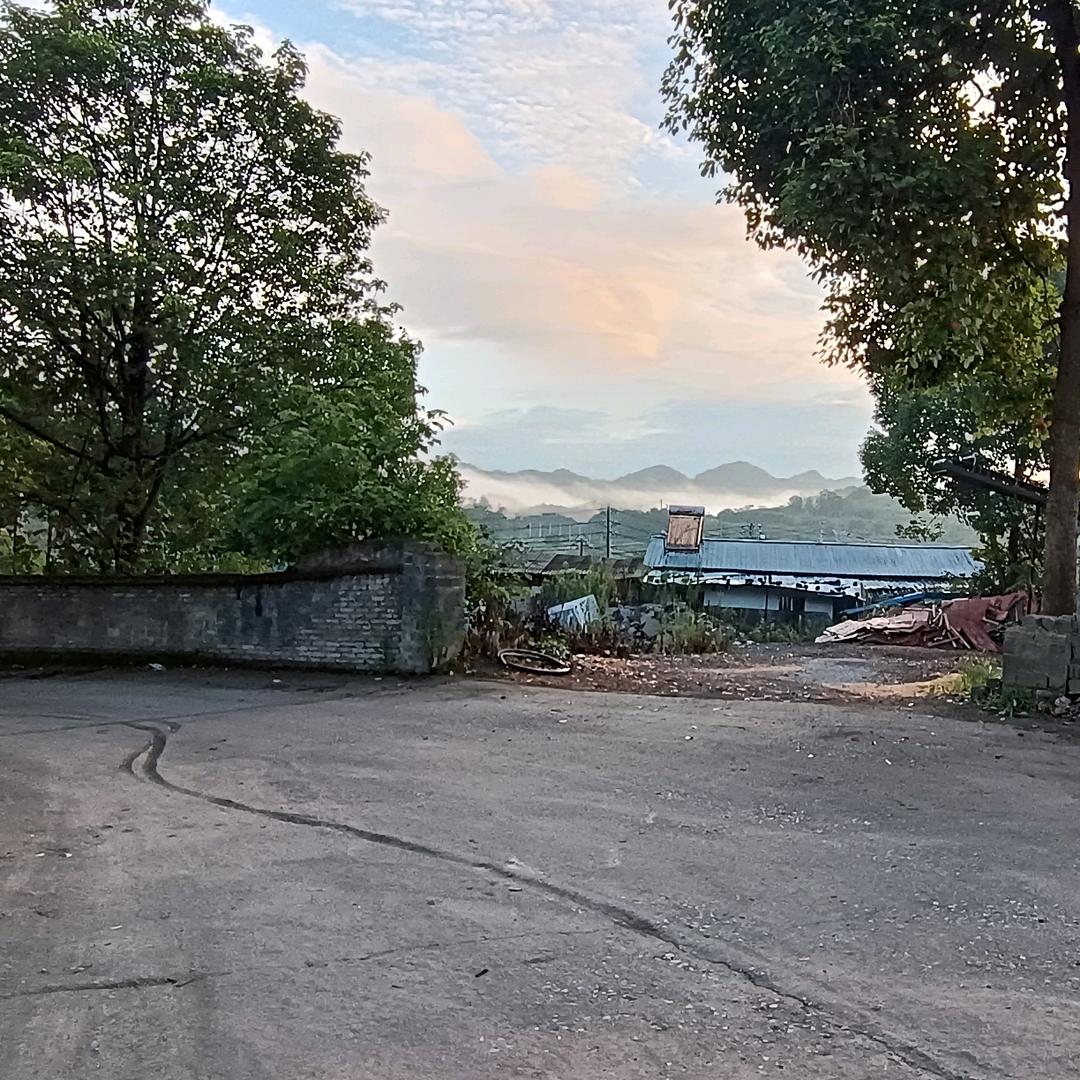 小緈諨