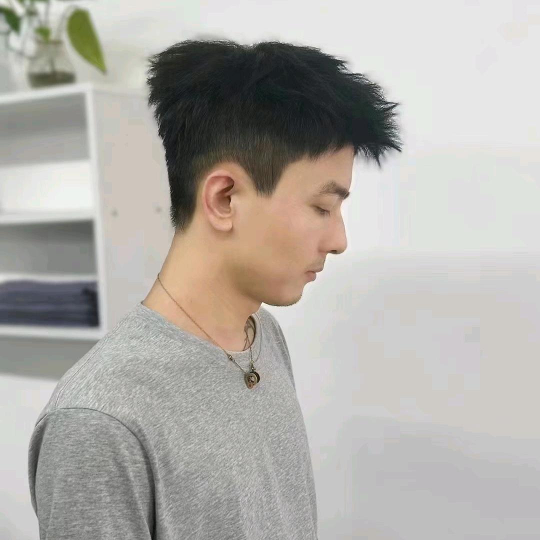 橘子的快乐生活