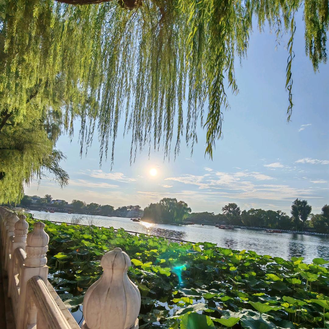 繁花似锦