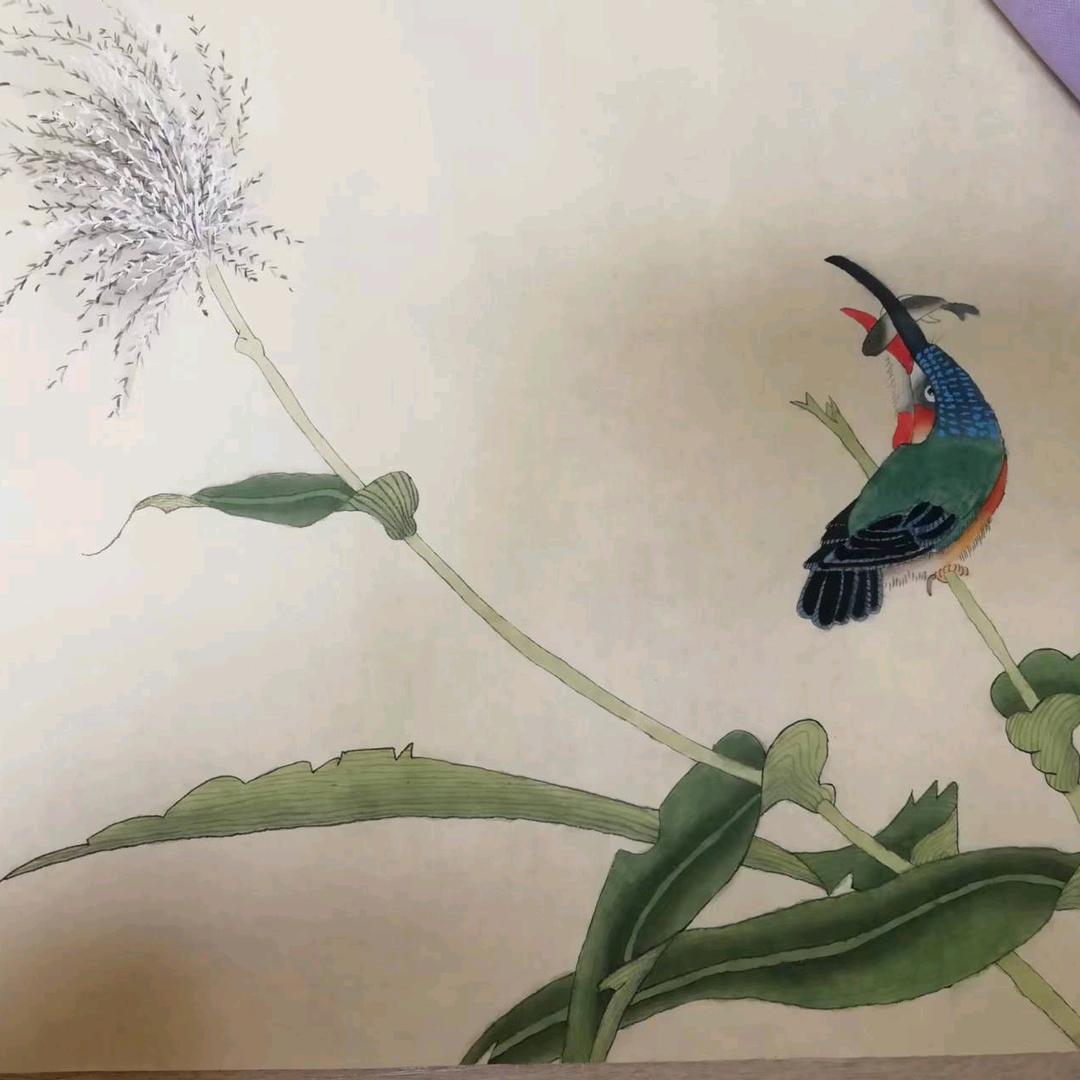艺起在彩虹唐