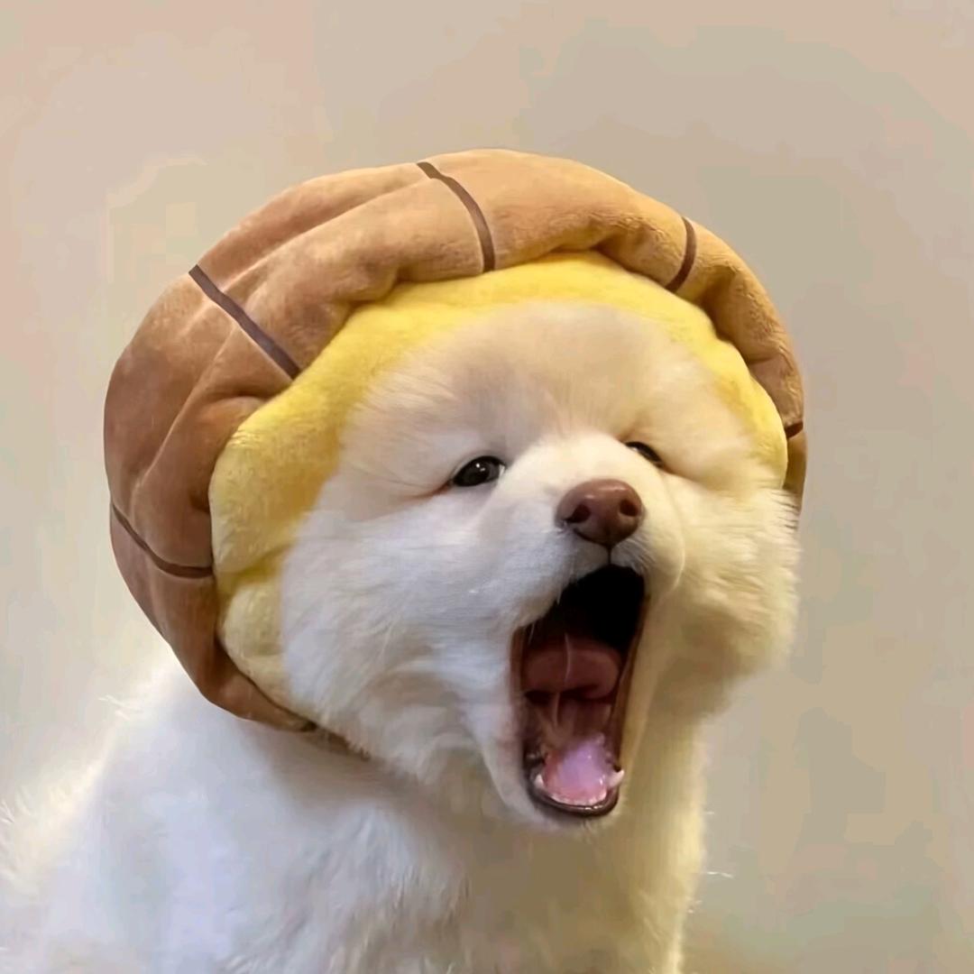 小郑《进厂挑战中》