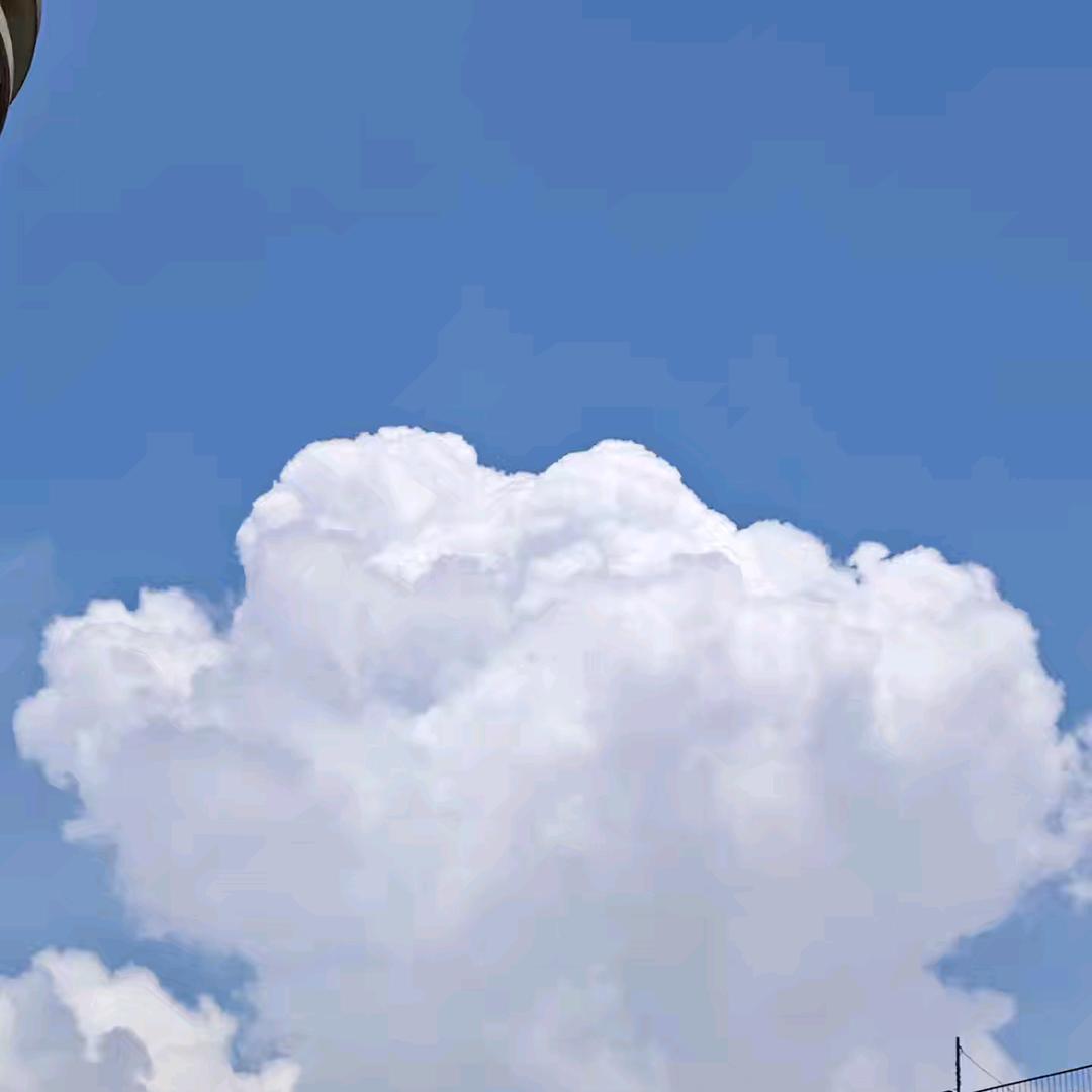 刘易斯の黑奴