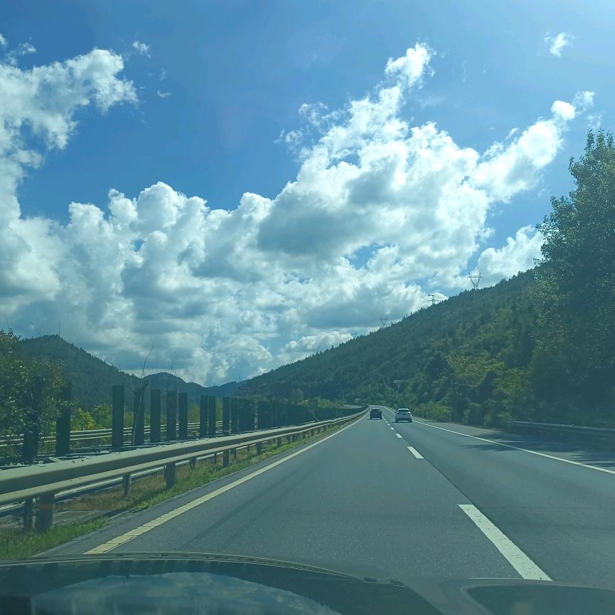 别胡闹
