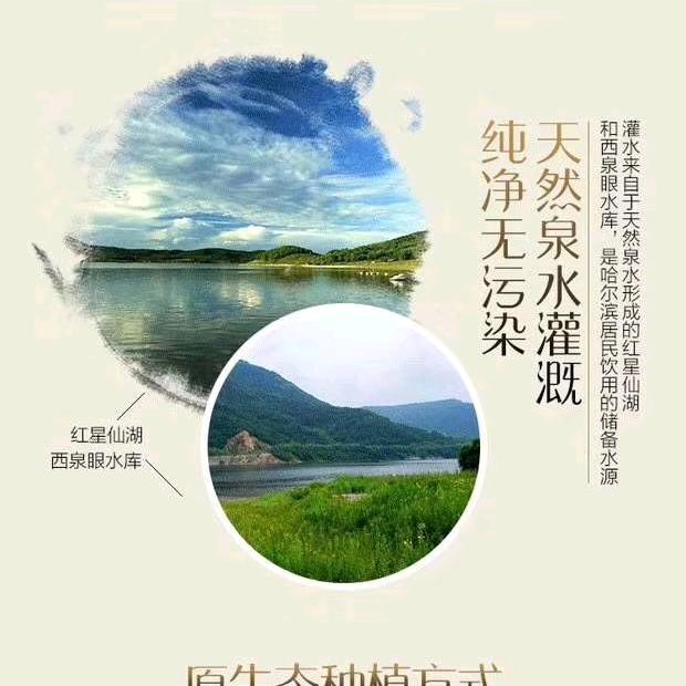 味稻农作物刘振洲臻选阁