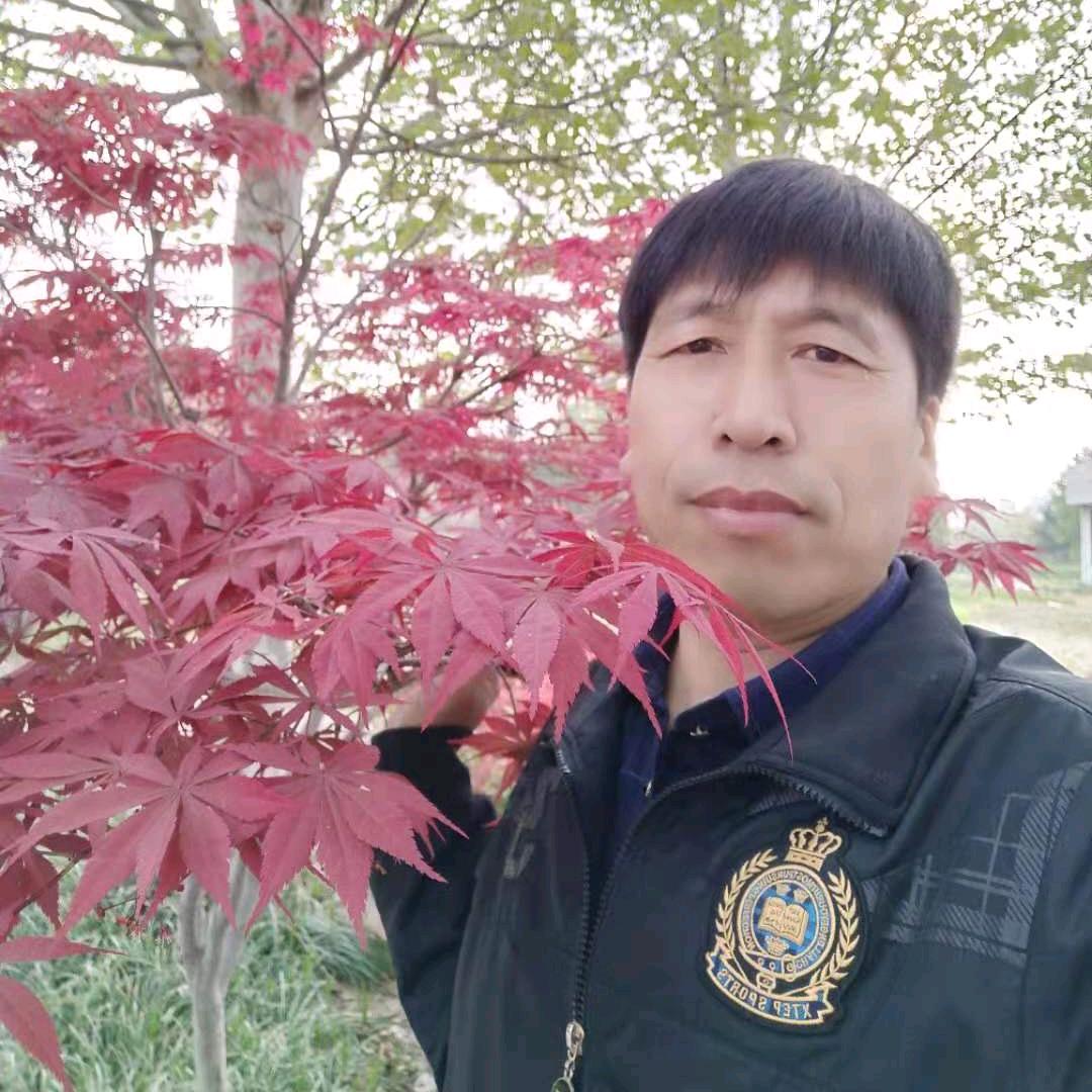 金鸡启舞