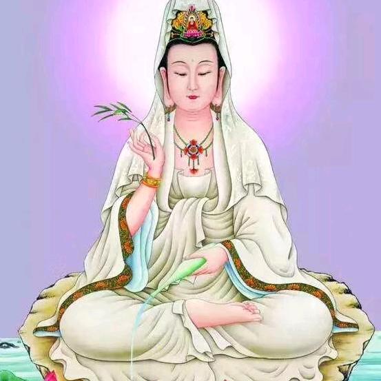 🐲🌺局外人👑👑👑