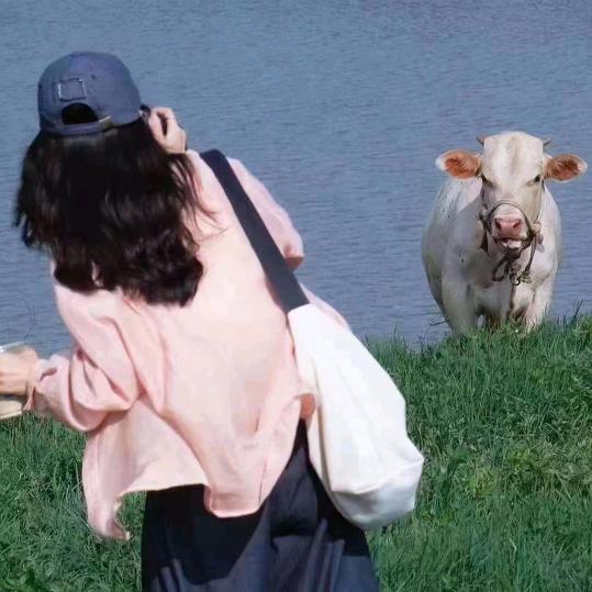 七里田间🌿