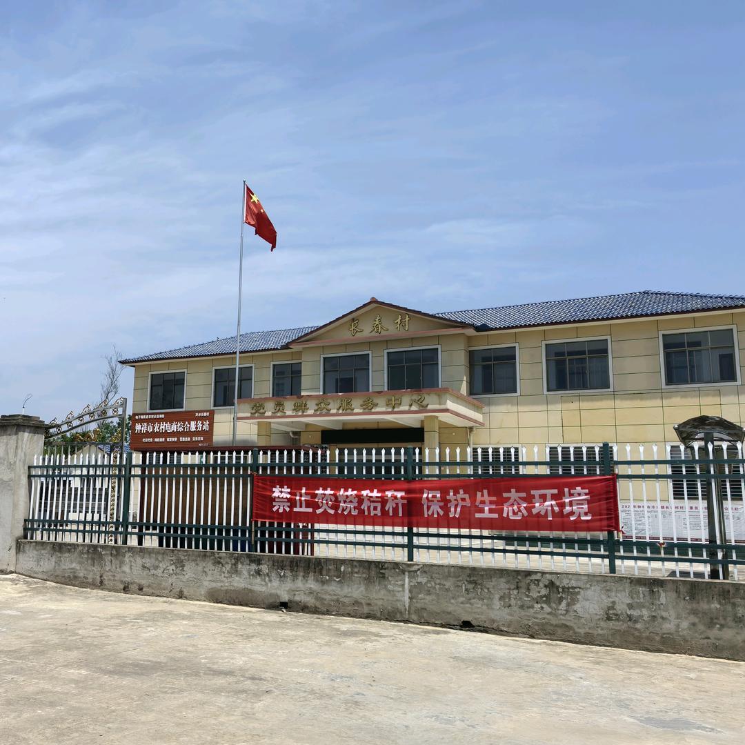 @长春村的张书记—回村任职的第N天