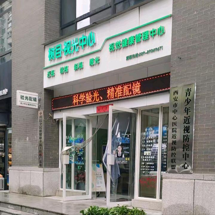 树目视光•客服