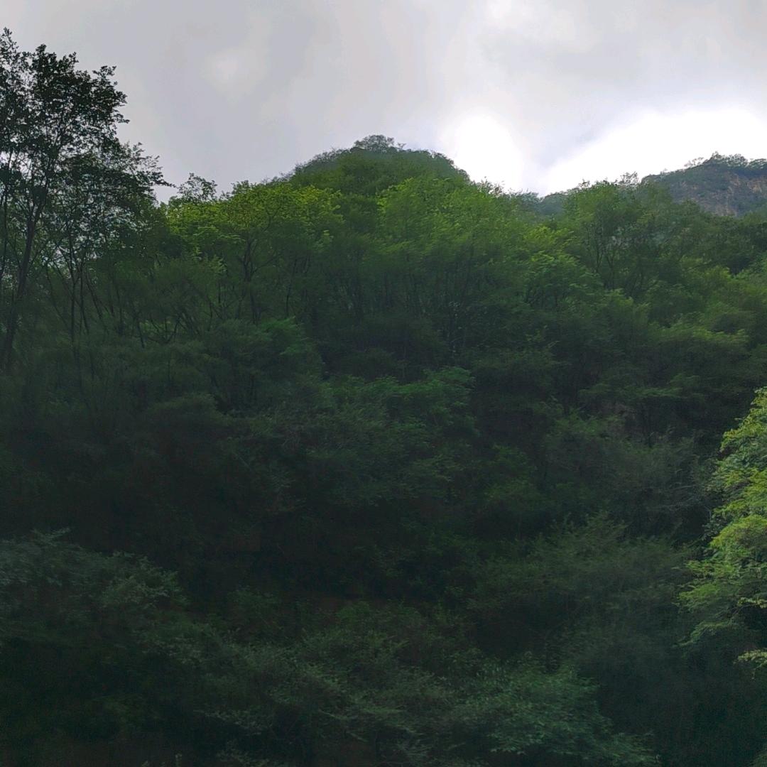 聪颖吃喝玩乐(三里屯)