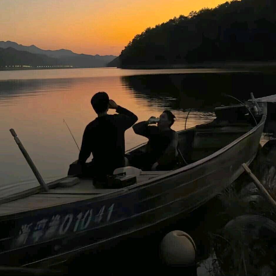 柳树十七