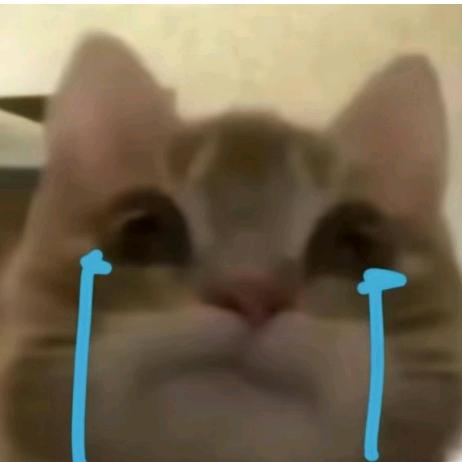 粉✔