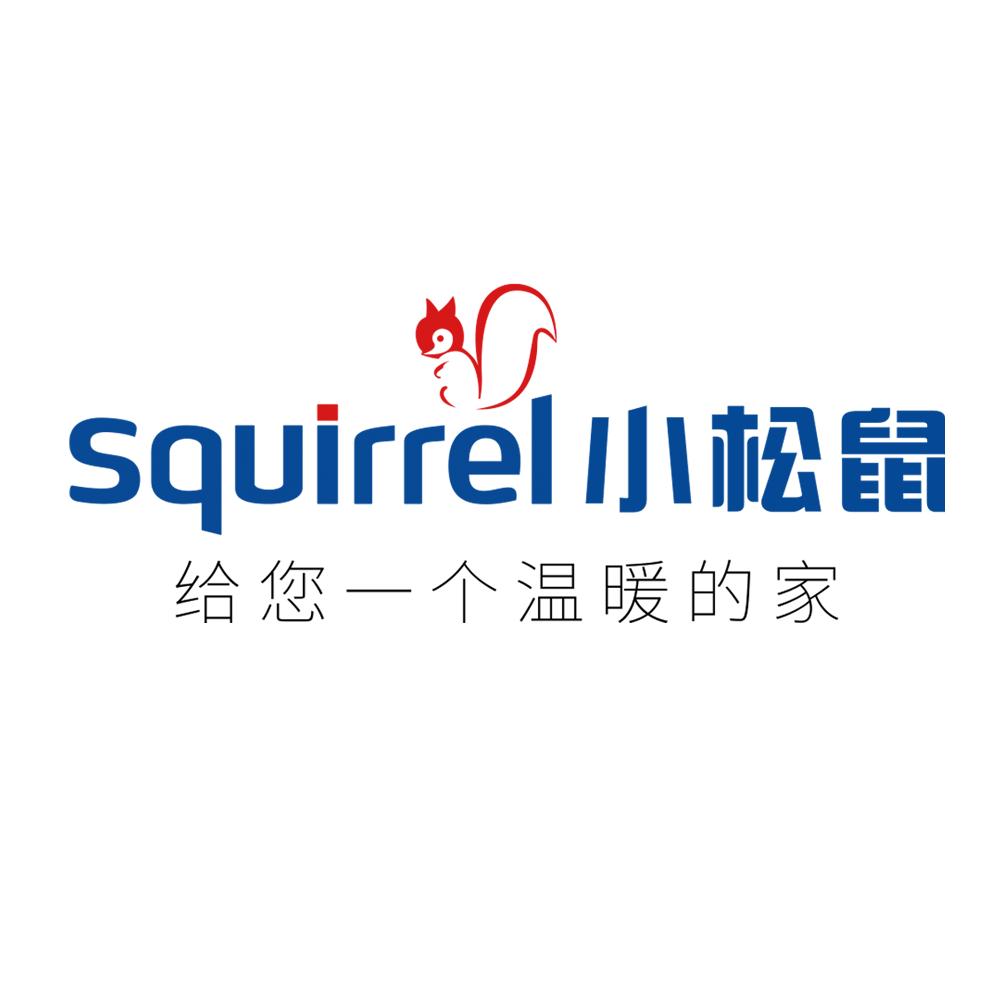 鄂州市小松鼠壁挂炉