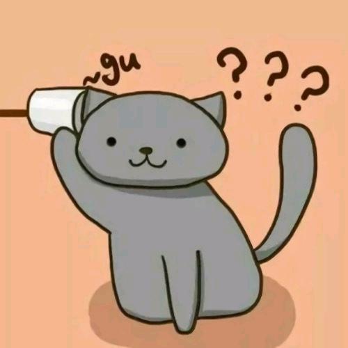 A命（学不下去想退学版）