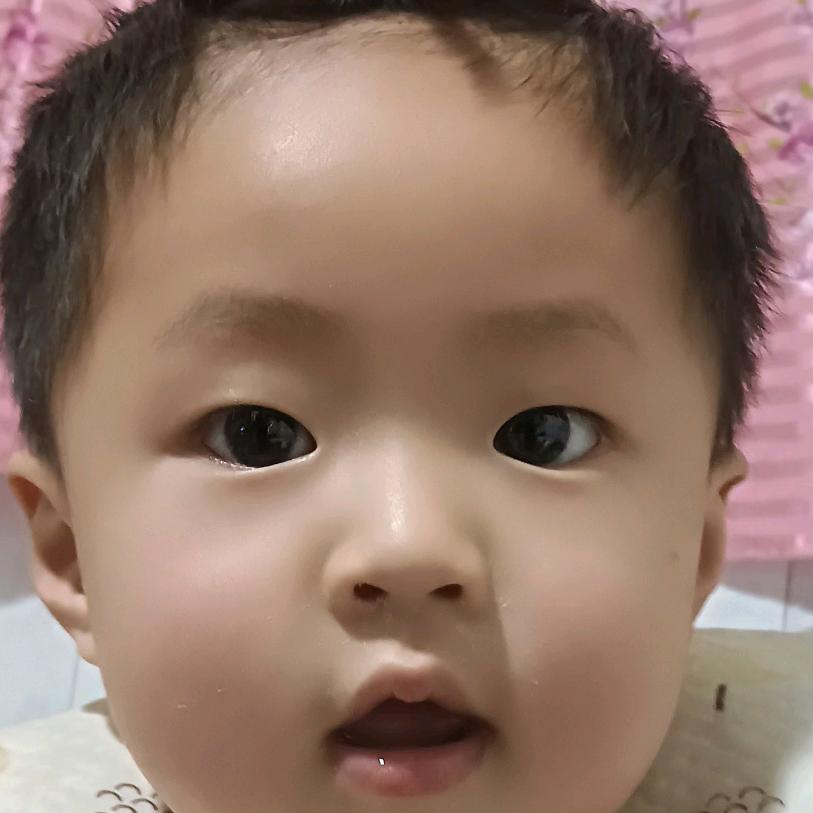 杨国利