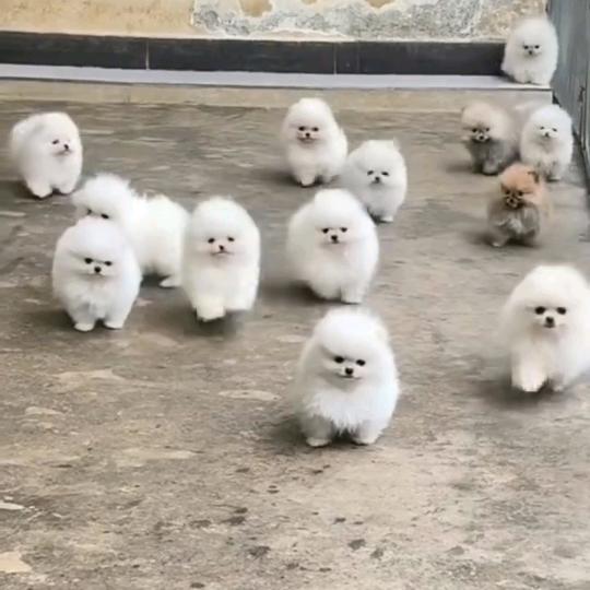 体文生活坊