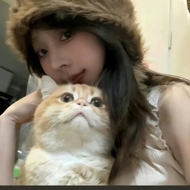 甜甜圈
