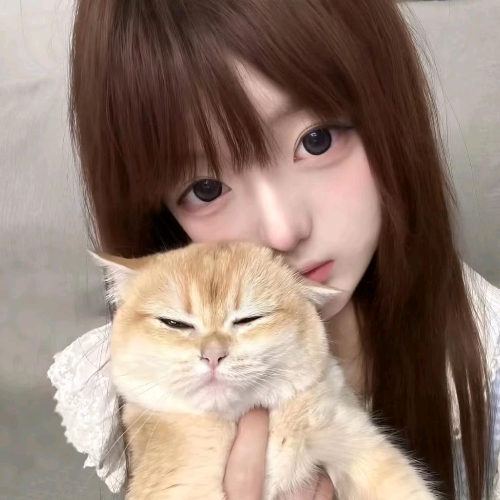 筱