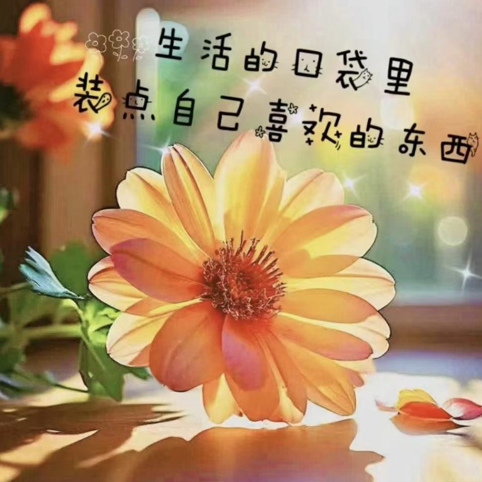 ✧*｡٩(ˊ忘忧*)و✧*