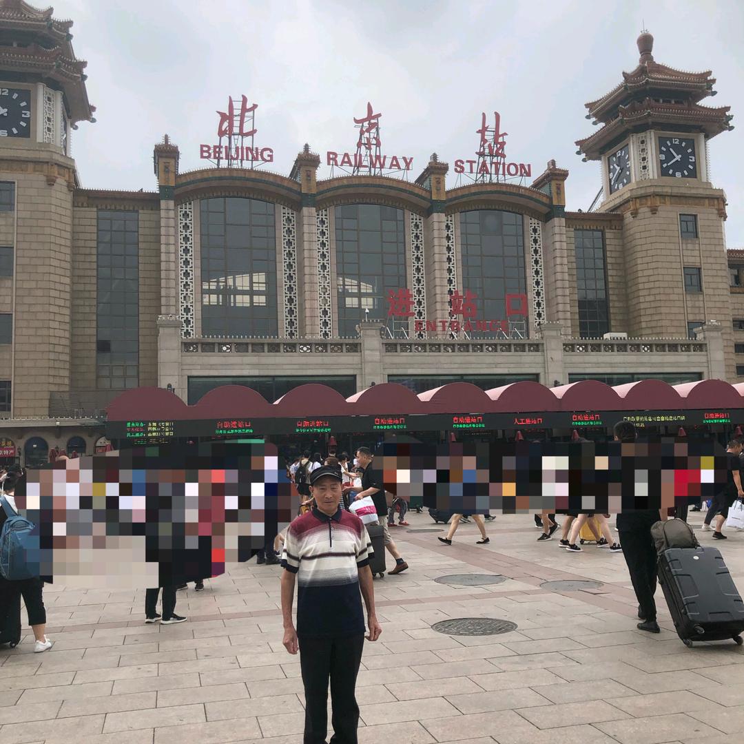 老树开花春意浓