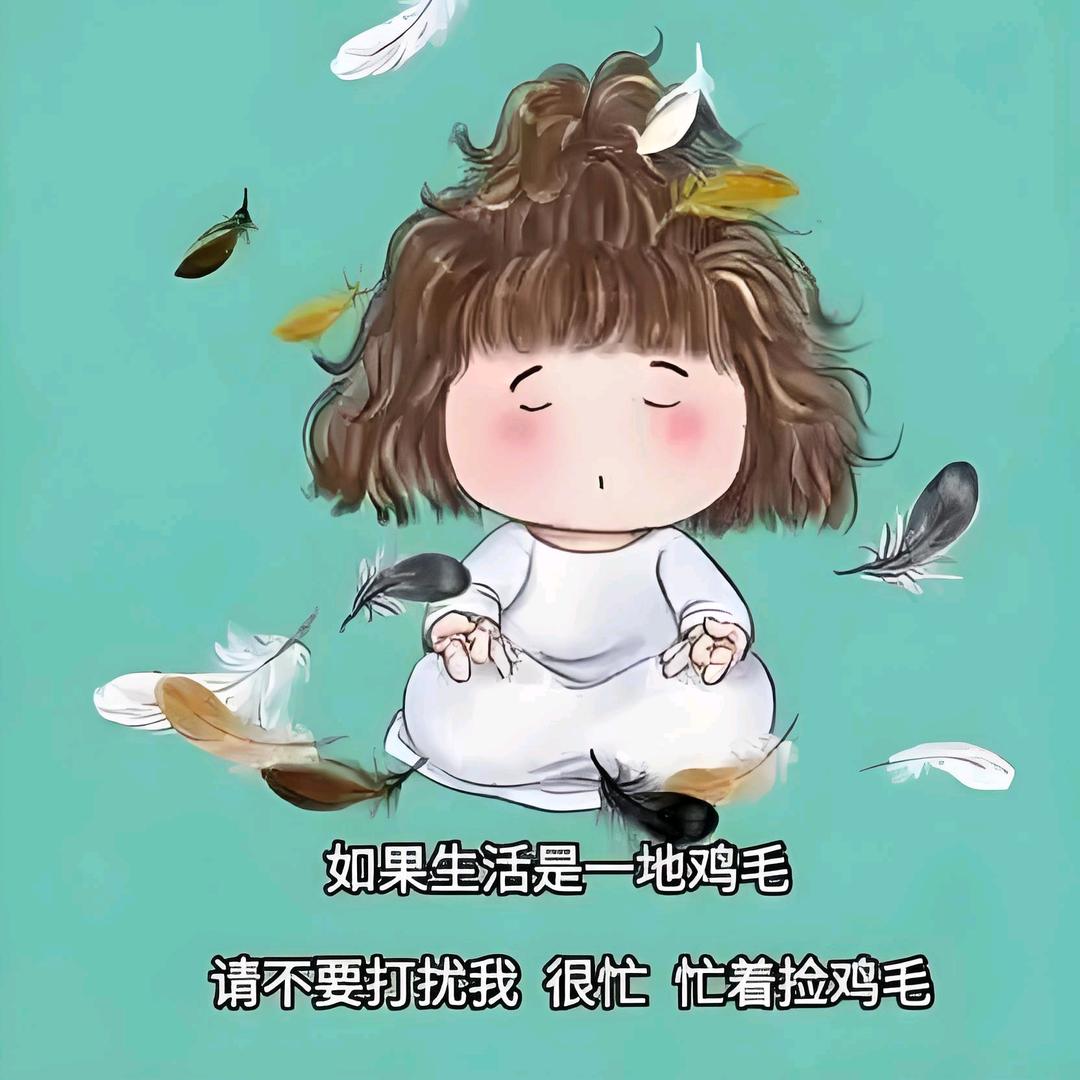 收拾好的《鸡毛》作品
