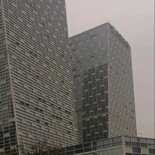 一生只为你